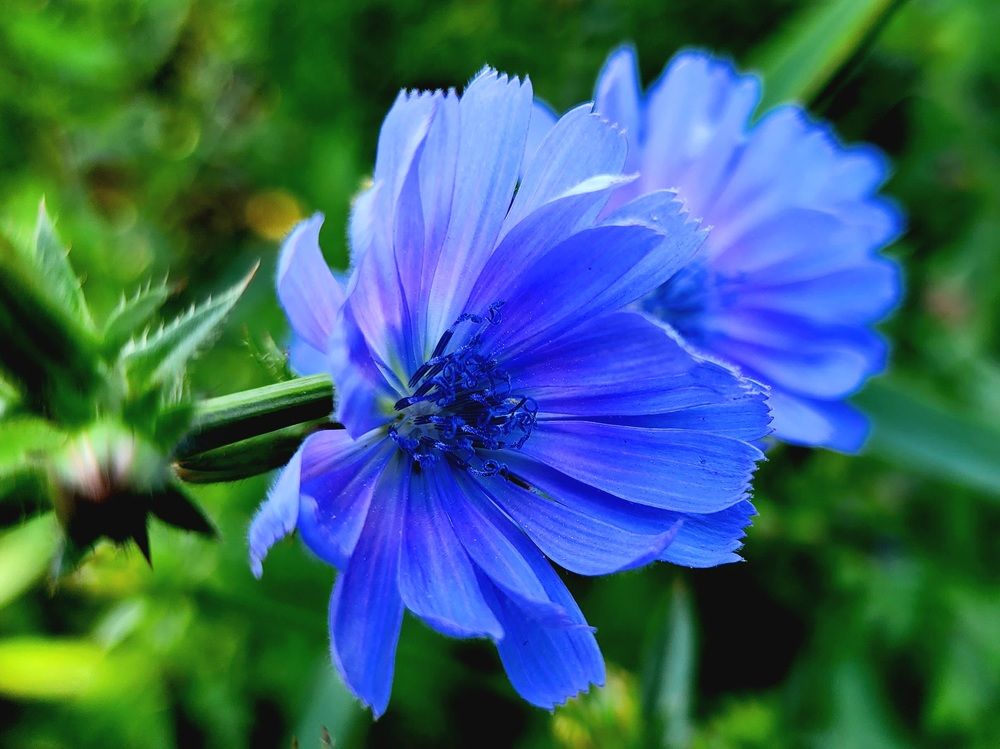 Photograph by Анна