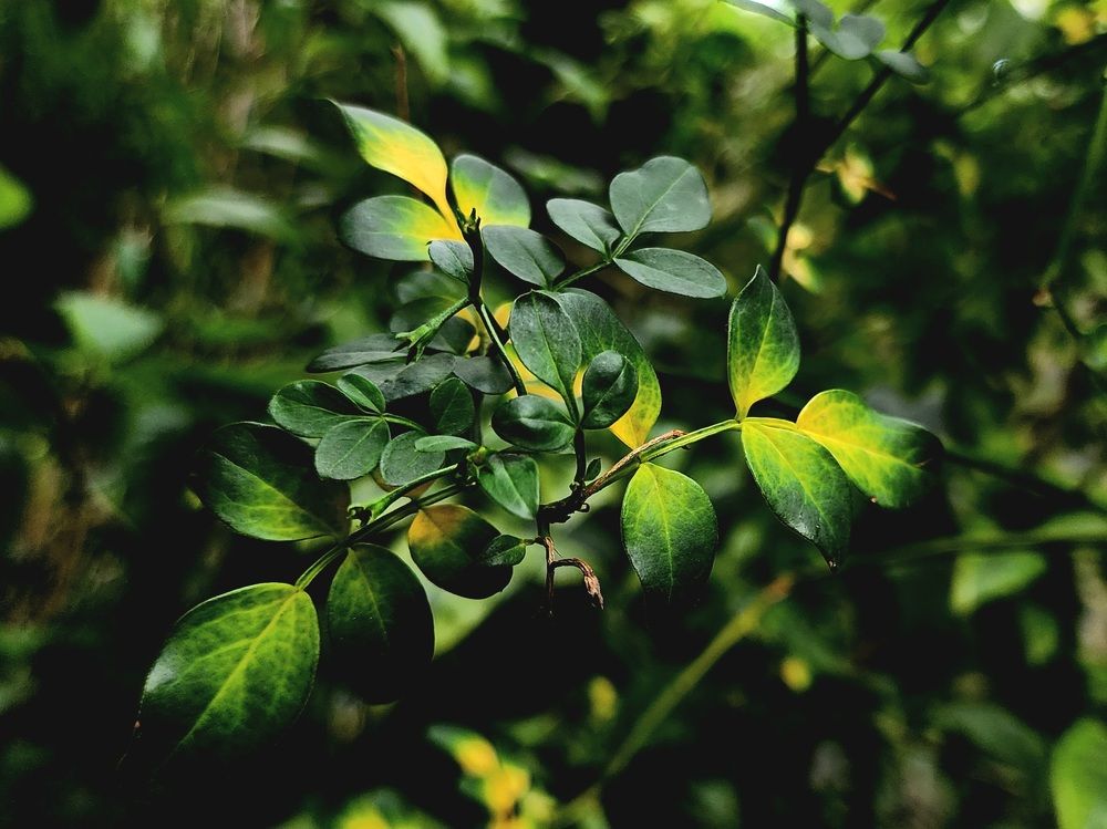 Photograph by Анна