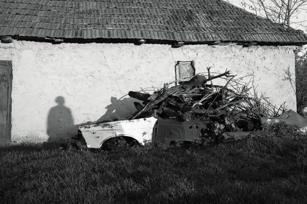 Photograph by Алла Ковалева