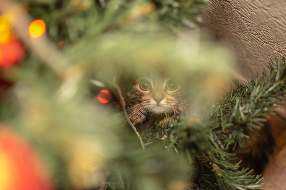 Photograph by Анастасия Захарова