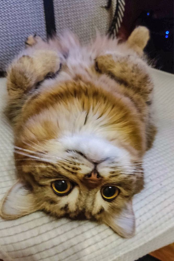 Photograph by Анастасия Захарова