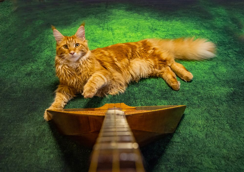 Photograph by NADEZHDA PELYMSKAIA