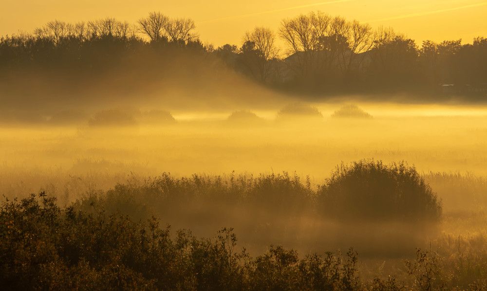 Фотография автора Александр Довганюк