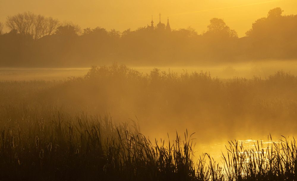 Фотография автора Александр Довганюк