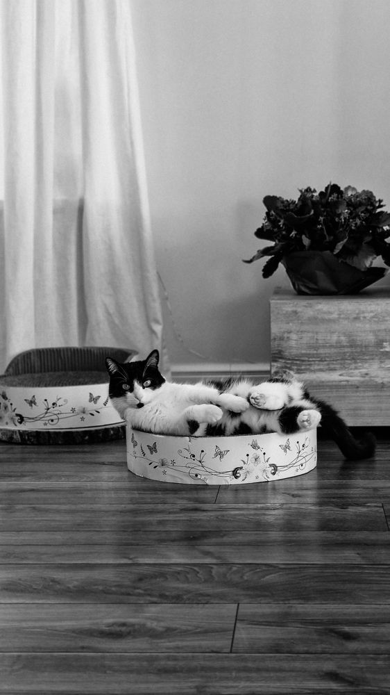 Photograph by Oliwia Janicka