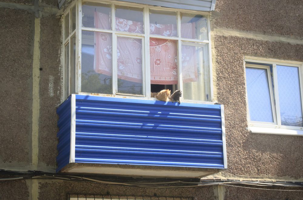 Photograph by Сергей Захаров