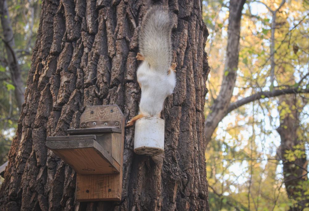 Photograph by Сергей Захаров