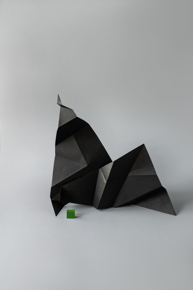 Фотография автора Светлана Бобошина