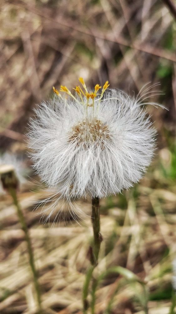 Photograph by Мария Иванова