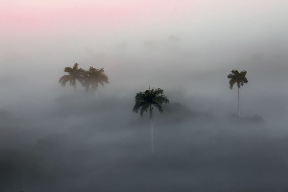 Photograph by Геннадий Васенков