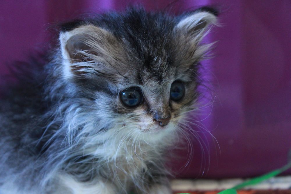 Photograph by Мария Кириллова