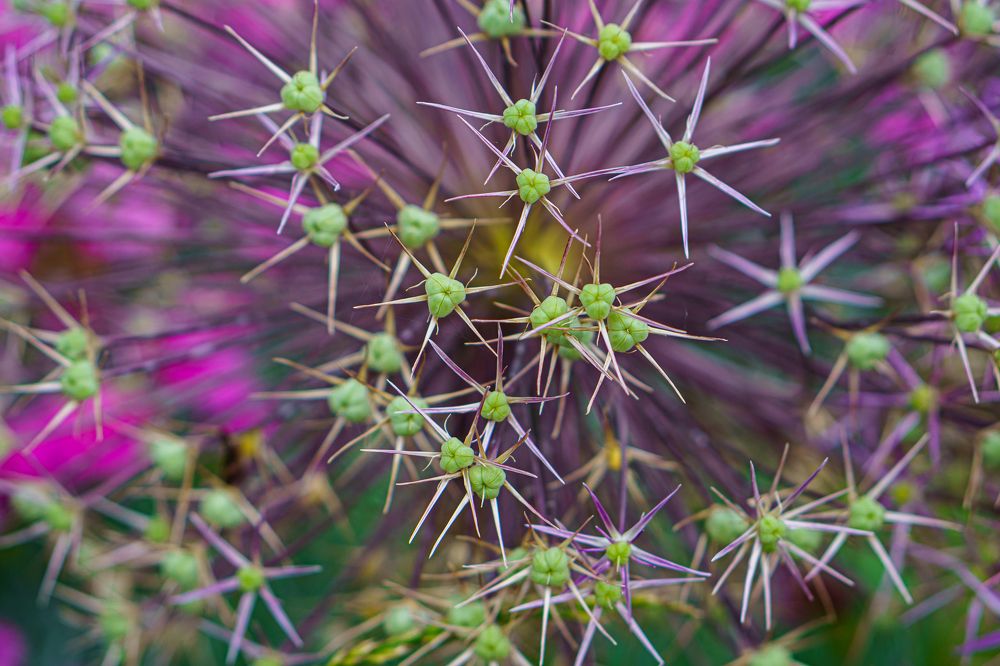 Photograph by Valdis Serzhans