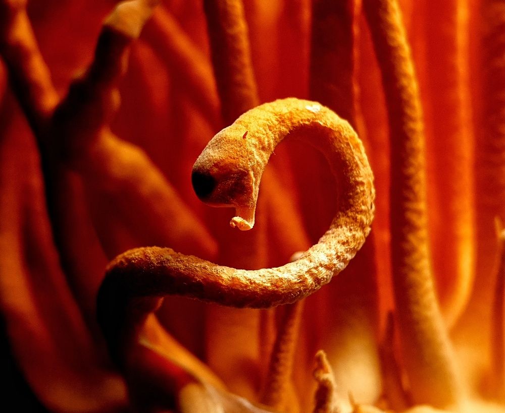 Photograph by NGUYEN LIEN