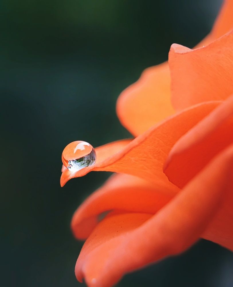 Photograph by NGUYEN LIEN