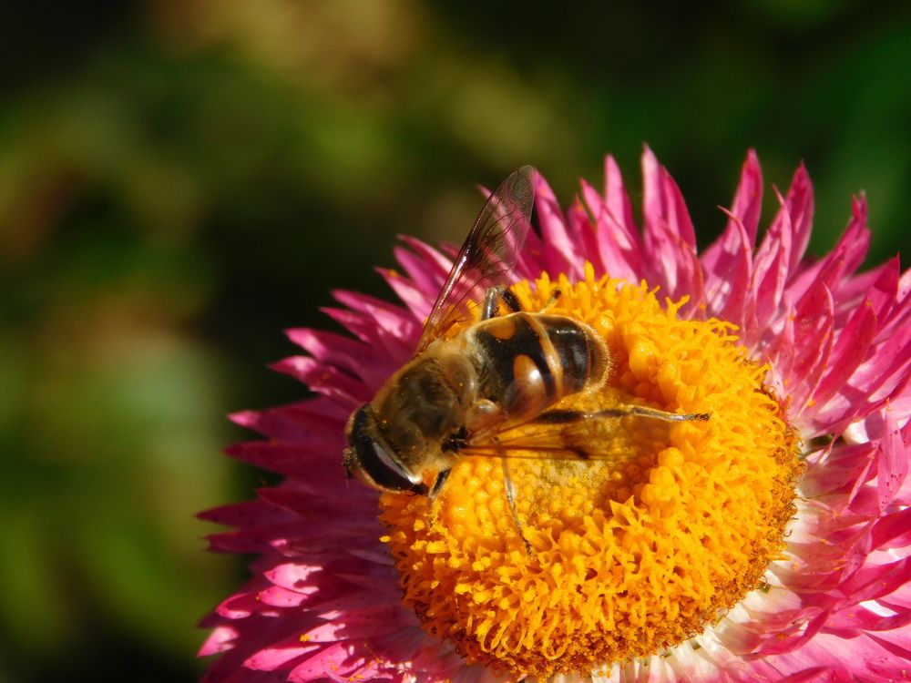 Photograph by Дмитрий Симагин