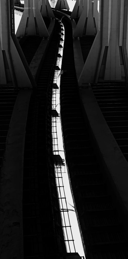 Photograph by Ольга Левакова