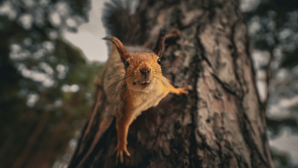 Photograph by Антон Дроздов