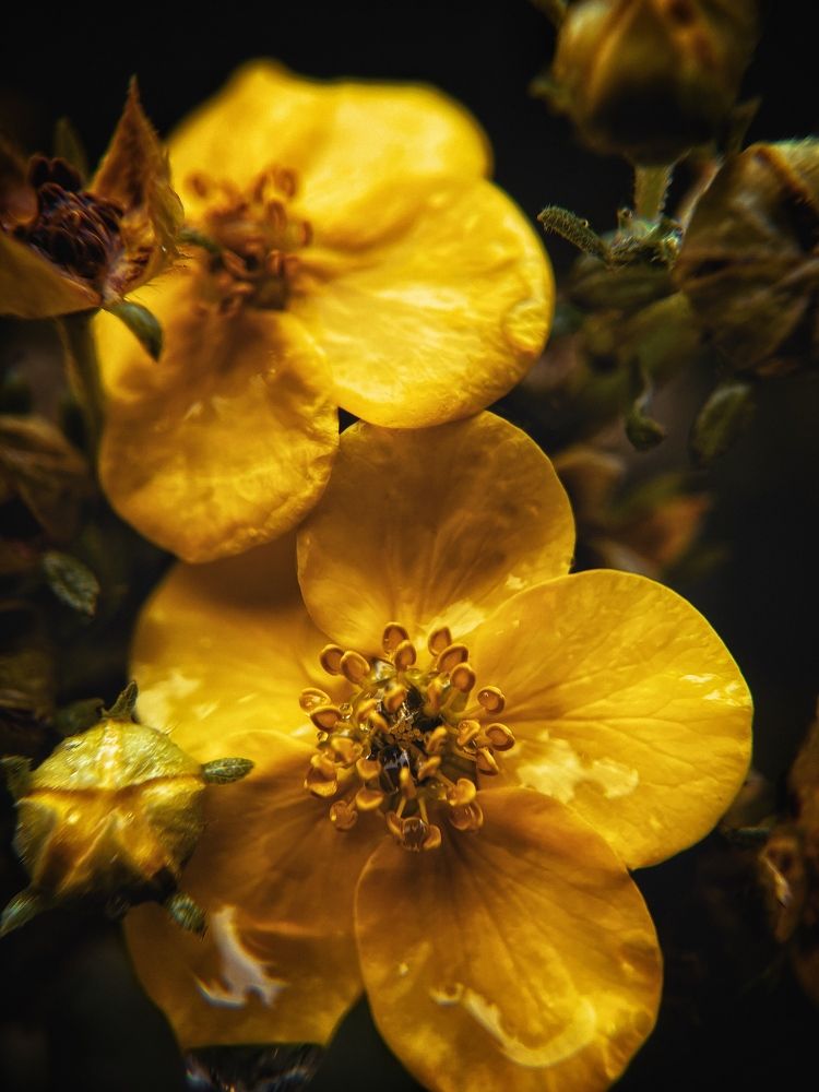 Photograph by Виктория Селютина