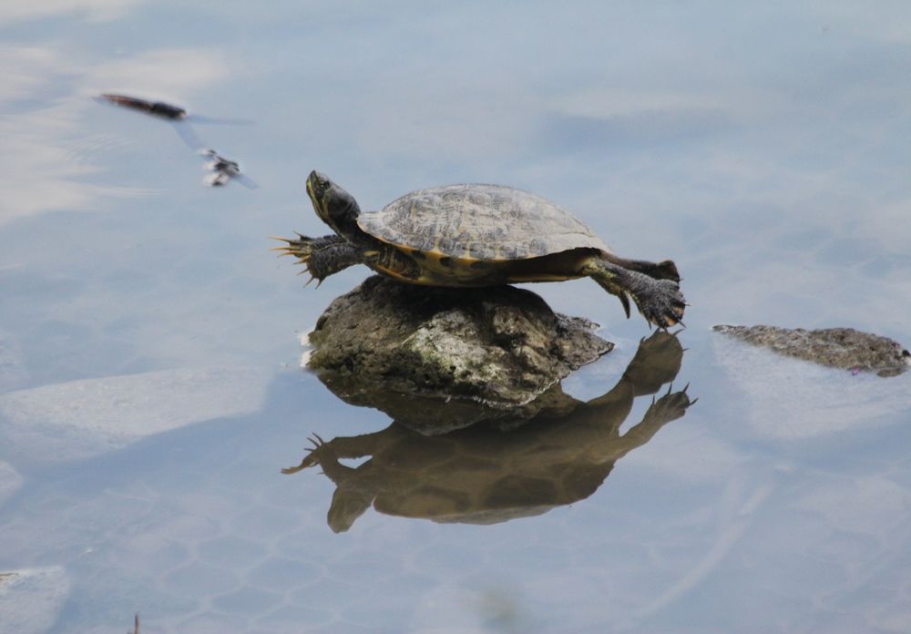 Photograph by Nadzeya