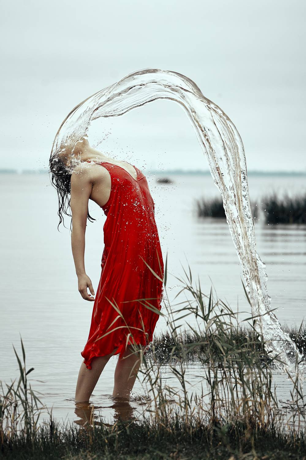 Photo #9738324