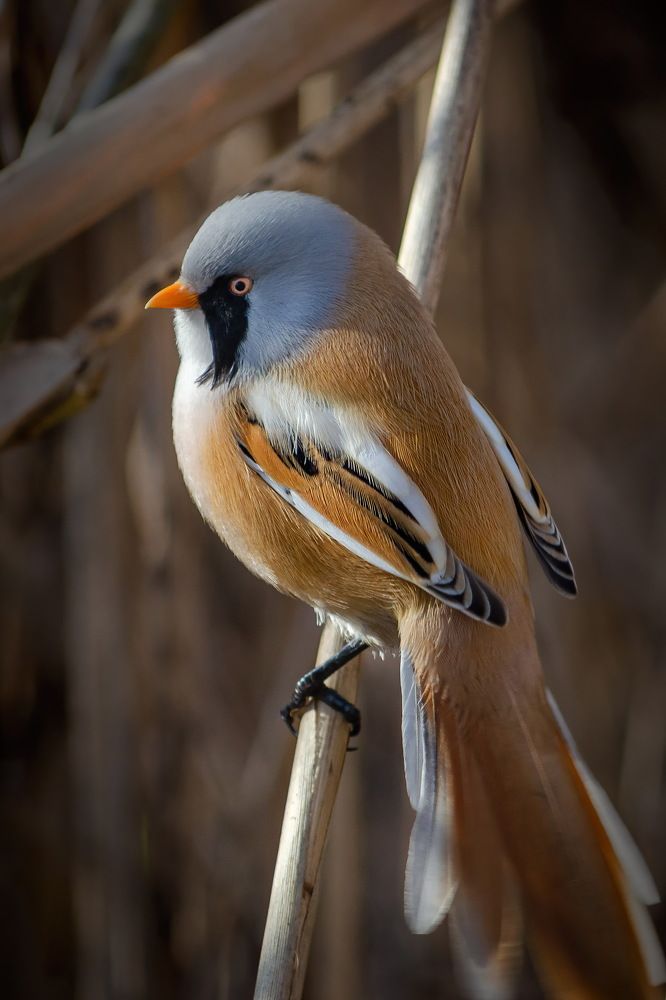 Photograph by Оксана Маховская