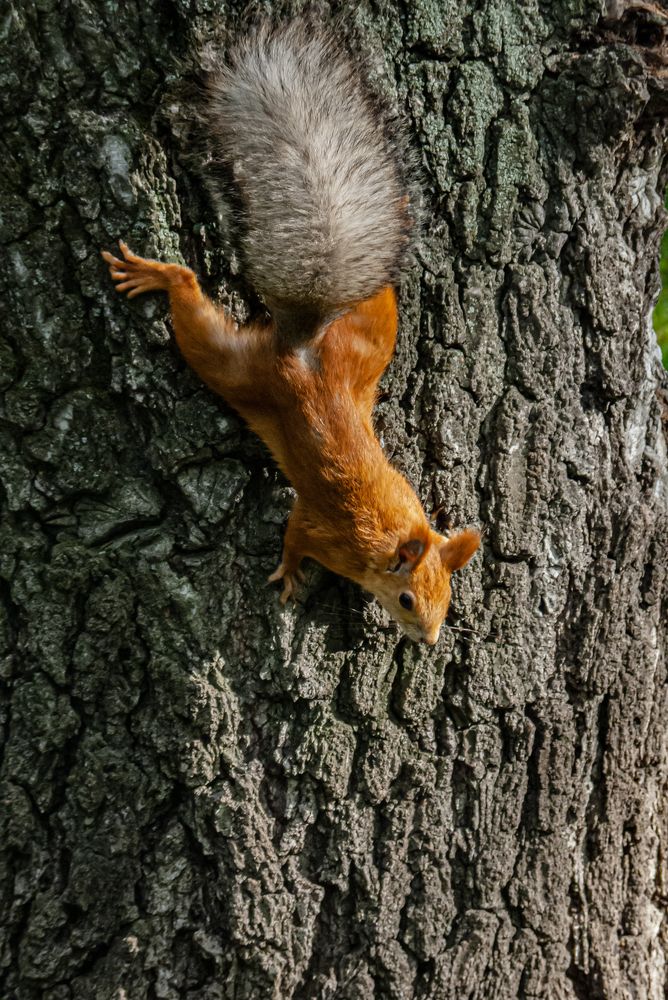 Photograph by Ирина Петракович