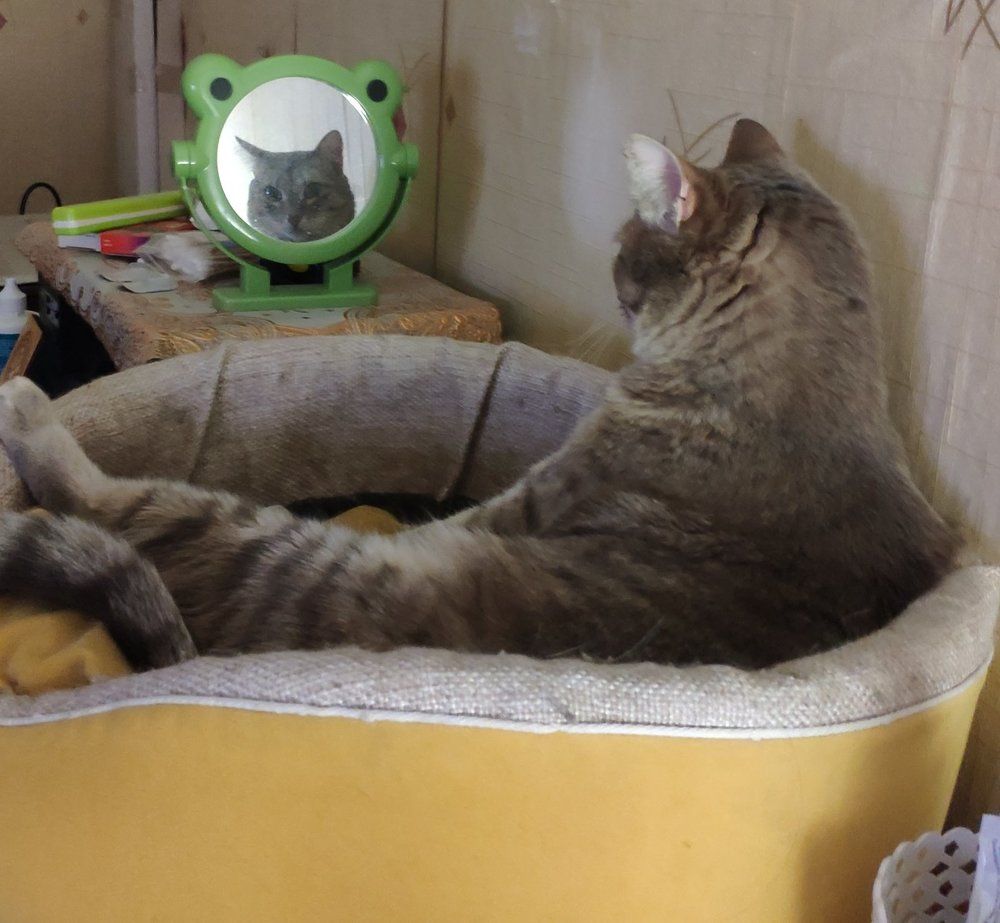 Photograph by Женя Евсеева