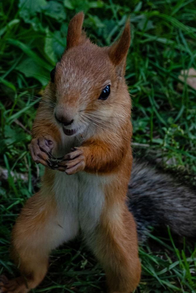 Photograph by Ирина Петракович