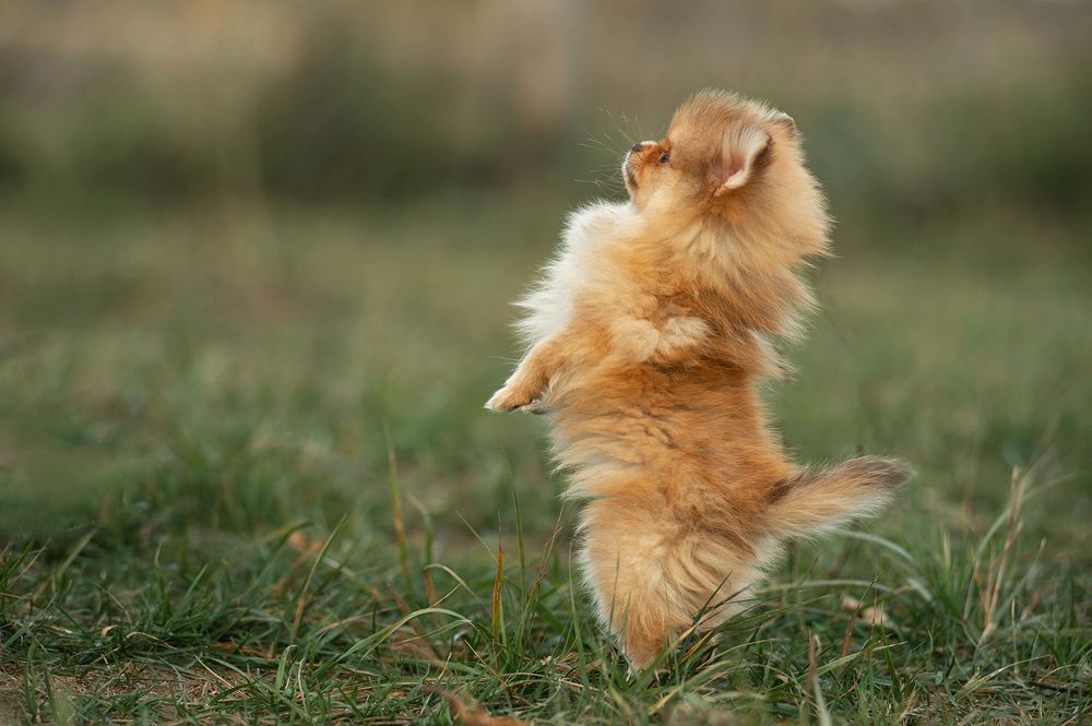 Photograph by Семина Ольга