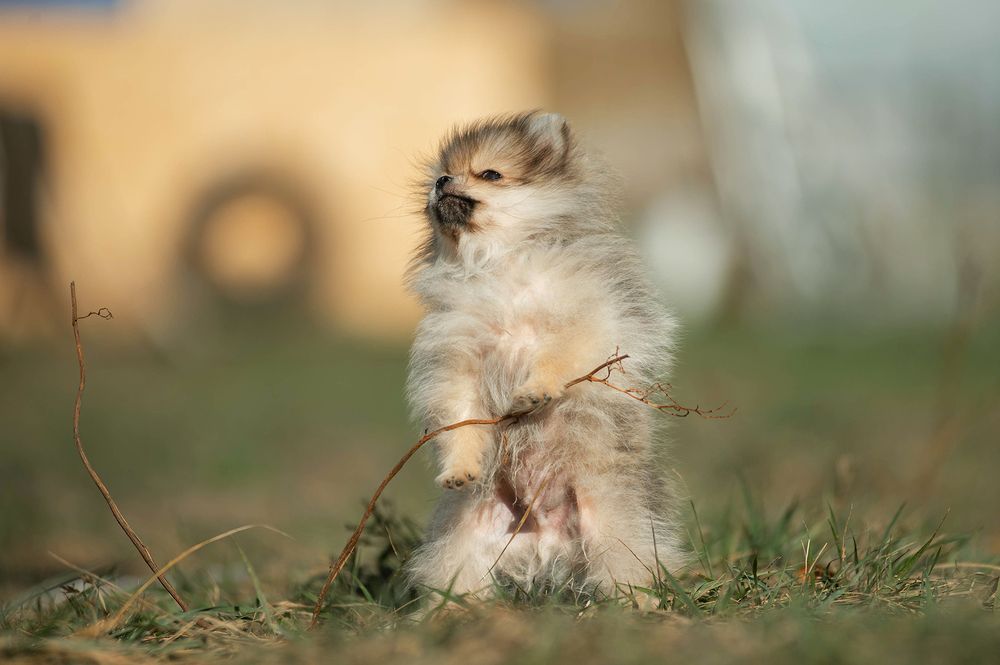 Photograph by Семина Ольга