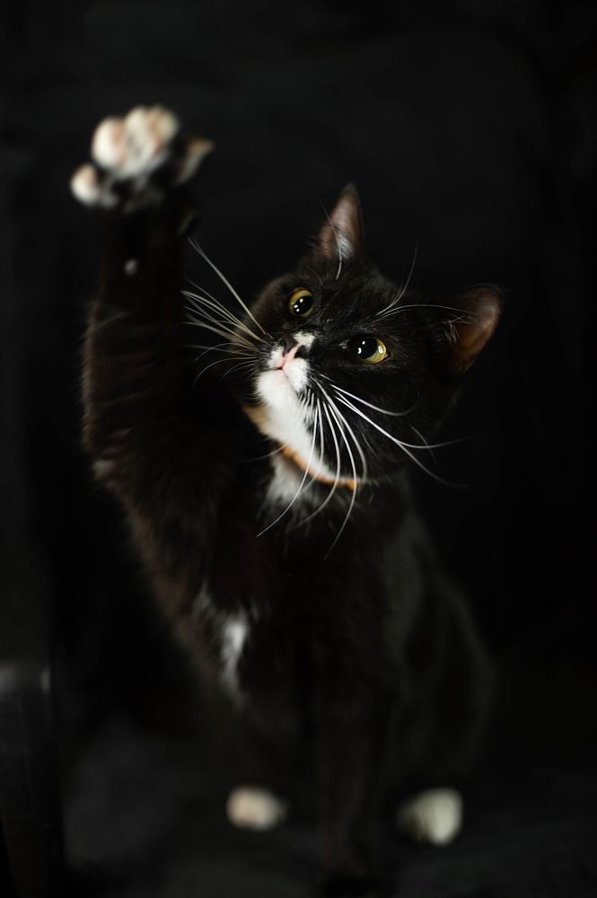 Photograph by Семина Ольга