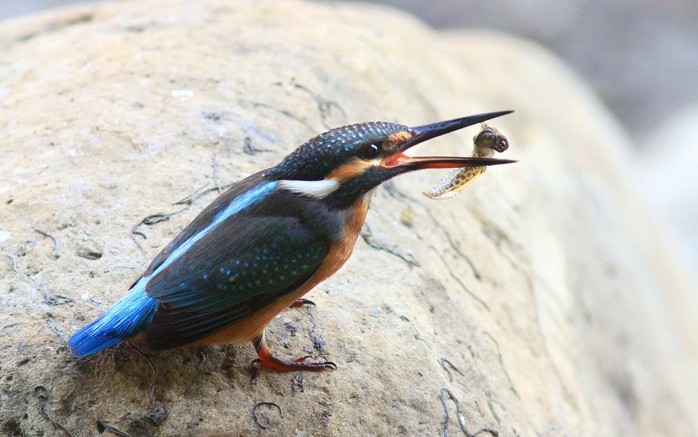 Фотография автора Михаил Крюков