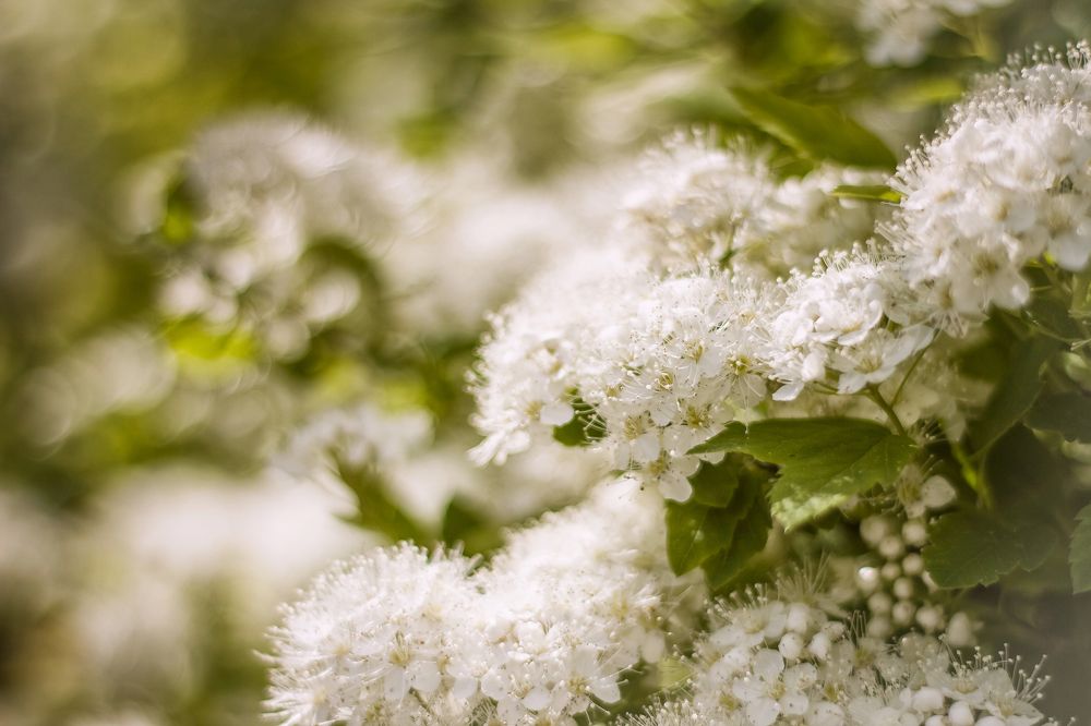 Photograph by Людмила Новосёлова