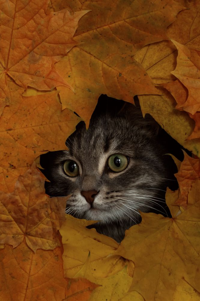 Photograph by Ольга Осинина