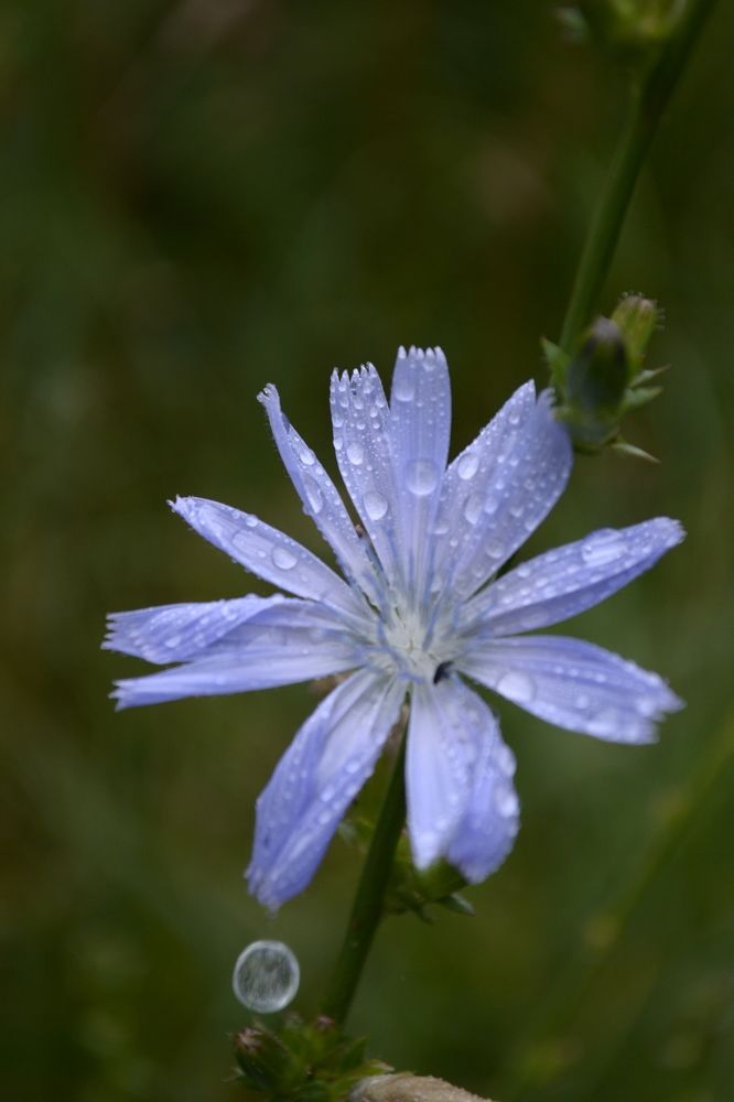 Photograph by Карина Слабкая