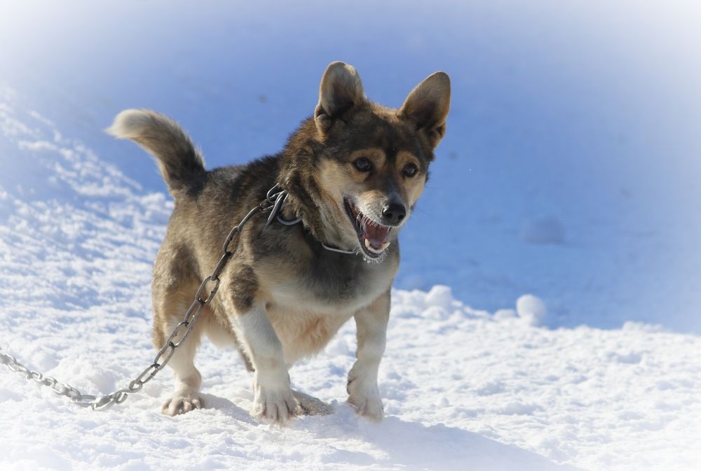 Photograph by Абрам Петерс