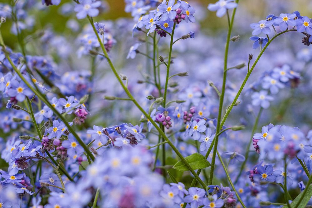 Photograph by Людмила Новосёлова