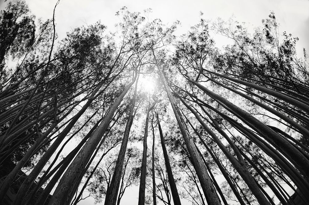 Photograph by Fabrine Reis