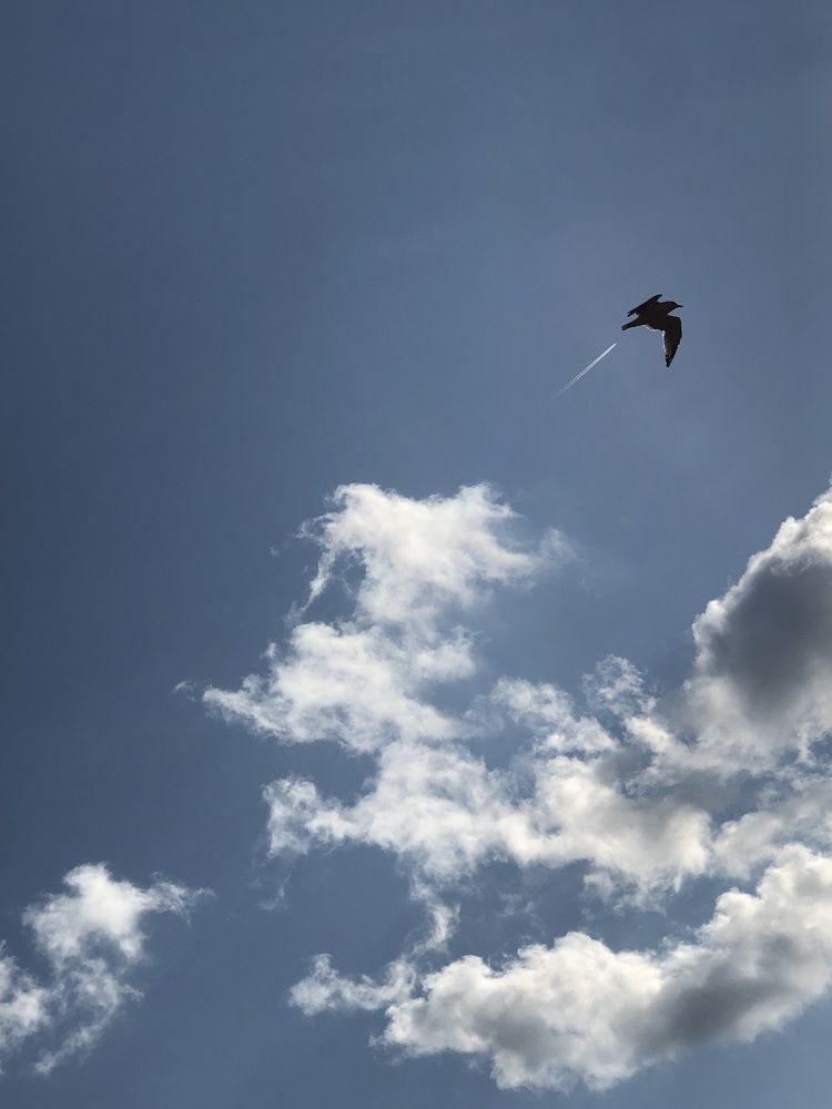 Фотография автора Светлана