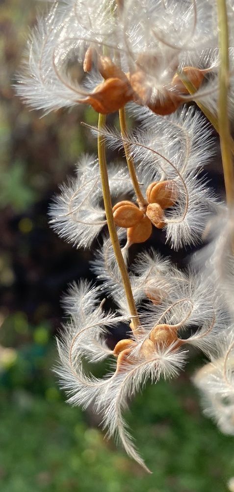 Photograph by Алиса Лукина