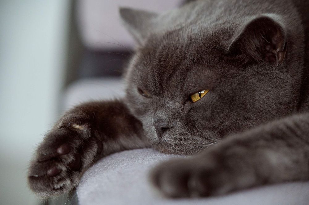 Photograph by Aljona Tsausova