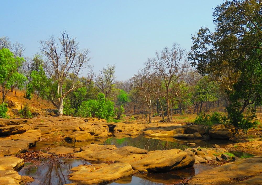 Miscellaneous landscape stretch