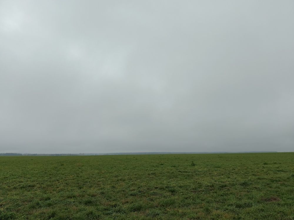 Photo #9738538