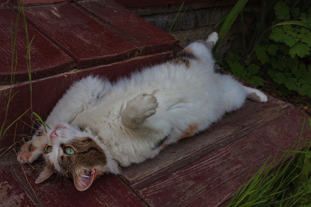 Photograph by Сергей Щербаков