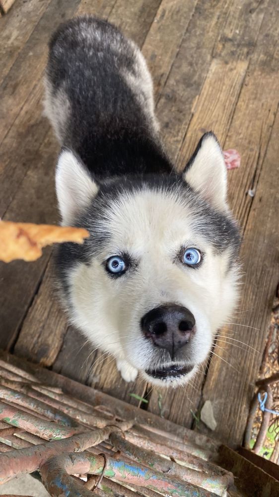 Photograph by Зимина Лионелла