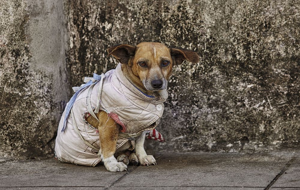 Photograph by Геннадий Васенков