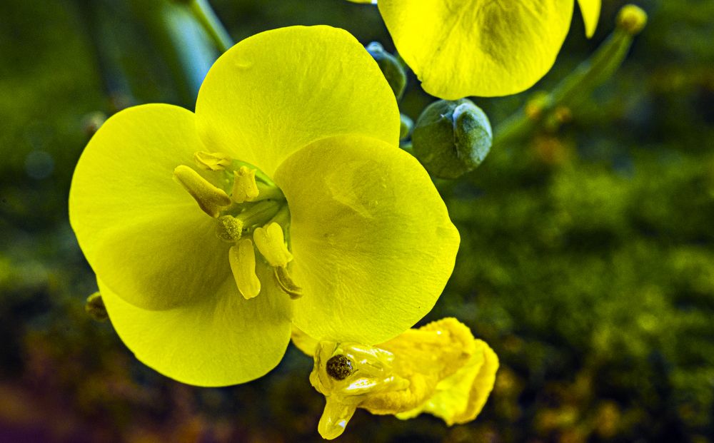 Photograph by Alex Kalpus