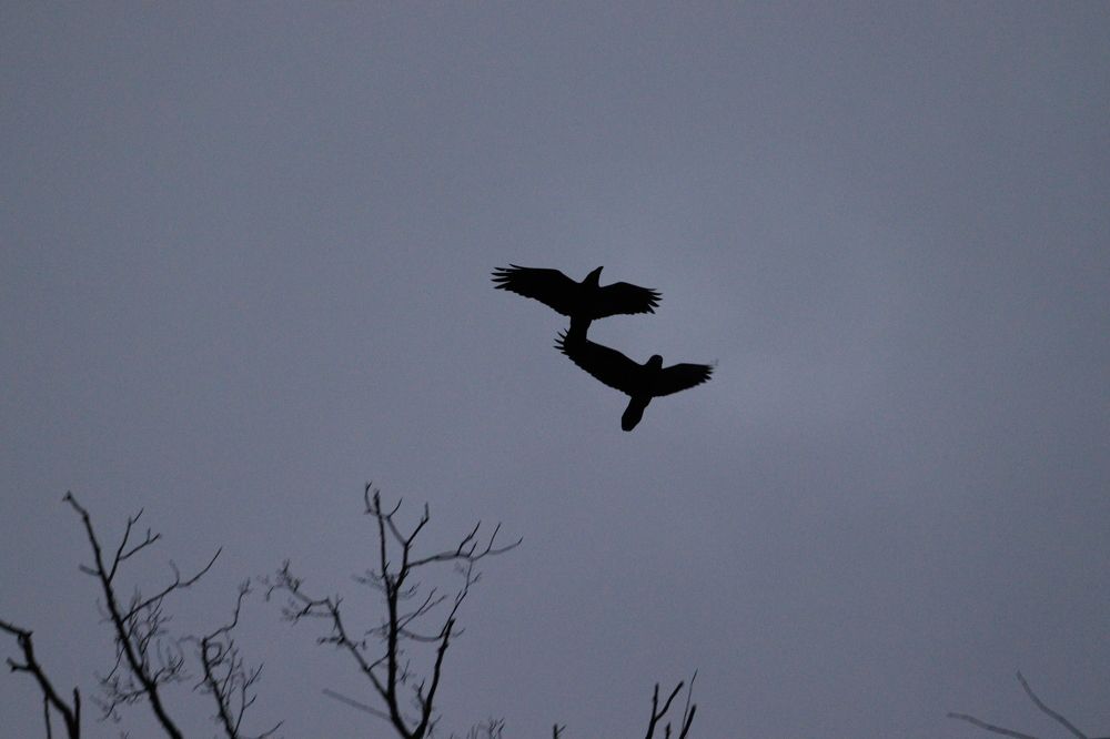 Photograph by Ольга Золотарева