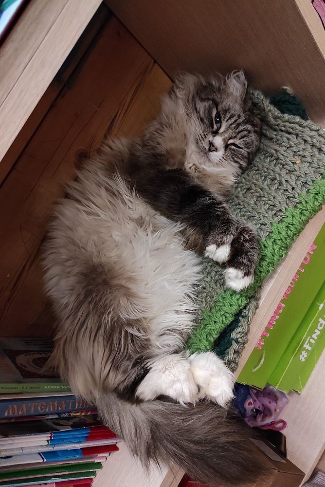 Photograph by Женя Евсеева