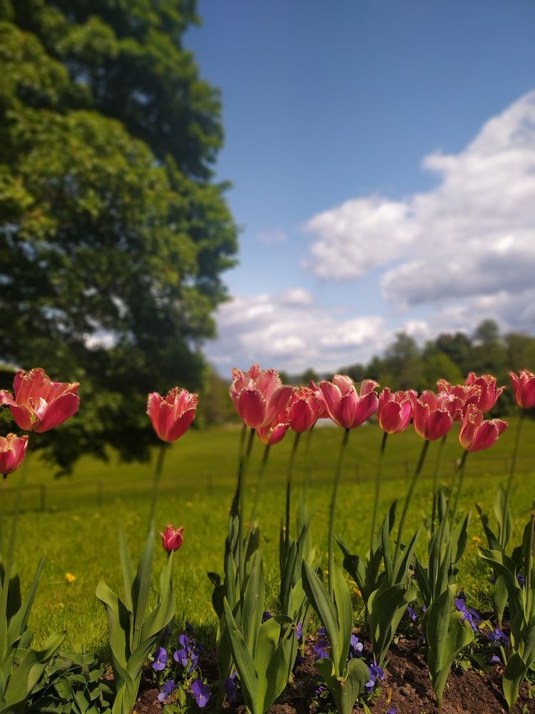 Фотография автора Елена Лукина